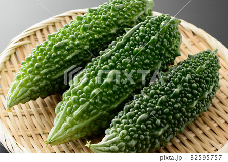 ゴーヤ ゴーヤ 32595757