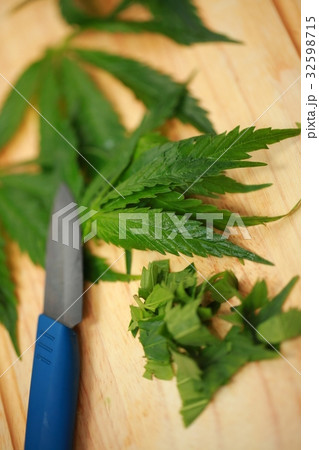 Fresh hemp leaf cannabis Fresh hemp leaf cannabis 32598715
