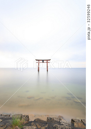 白髭神社 琵琶湖の鳥居 白髭神社 琵琶湖の鳥居 32599246