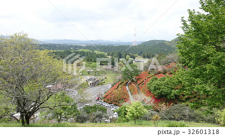 萩の茶屋 32601318