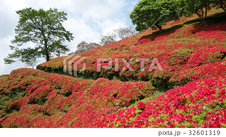 萩の茶屋 32601319