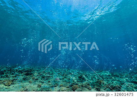 エアーカーテン 32601475