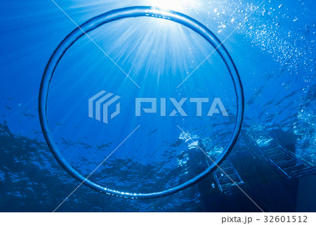 バブルリング バブルリング 32601512