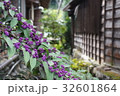 京都の植物　紫 32601864