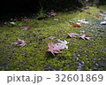 道に落ちた紅葉 32601869