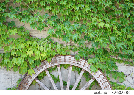 車輪と壁 32602500