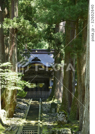 永平寺唐門と大杉 永平寺唐門と大杉 32602640