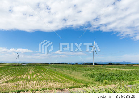 Wind turbine 32603829