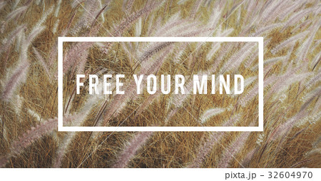 Peaceful Nature Tranquil Relaxation Freedom Peaceful Nature Tranquil Relaxation Freedom 32604970