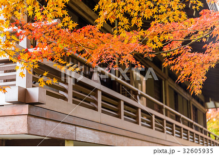 Wooden architecture with maple tree Wooden architecture with maple tree 32605935