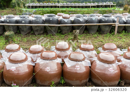 Vinegar Barrel 32606320