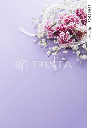 マツムシソウ マツムシソウ 32610948