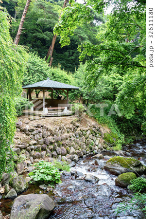 雨上がりの熱海梅園初川清流 雨上がりの熱海梅園初川清流 32611180