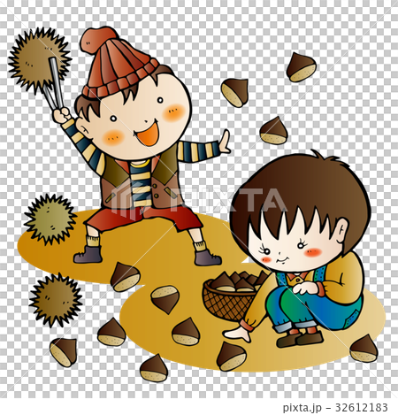 板栗採摘 32612183