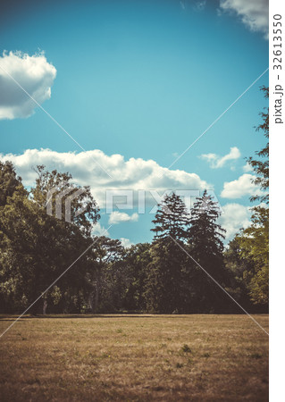 Field meadow trees pine trees sky clouds copy spac 32613550