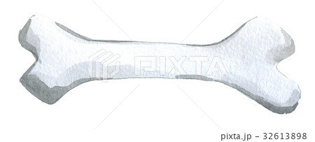 watercolor sketch of white dog bone isolated watercolor sketch of white dog bone isolated 32613898