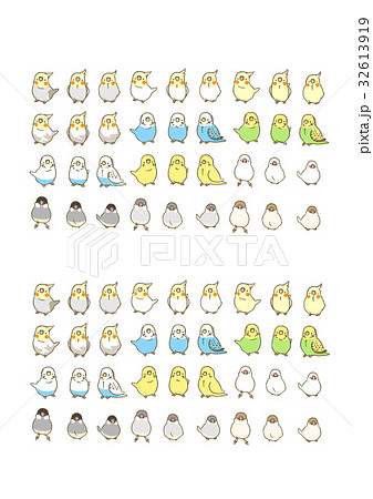 インコたち 32613919