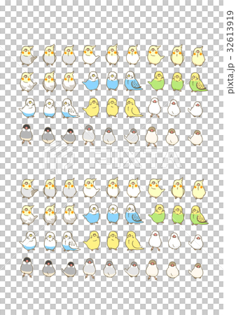インコたち 32613919