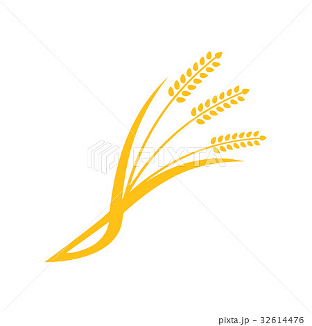 Concept for organic products label 32614476