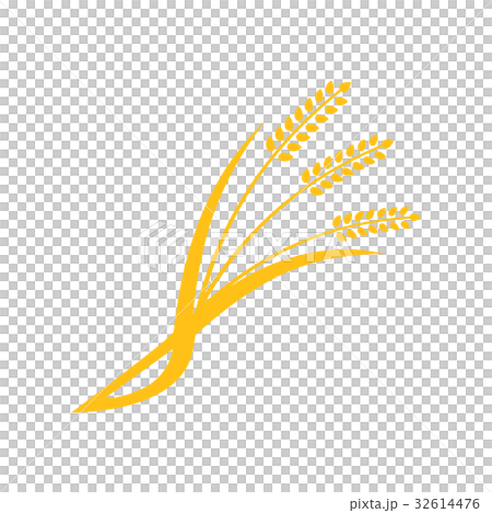 Concept for organic products label 32614476
