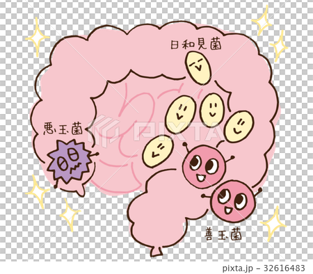 Good gut bacteria dominant intestinal environment 32616483