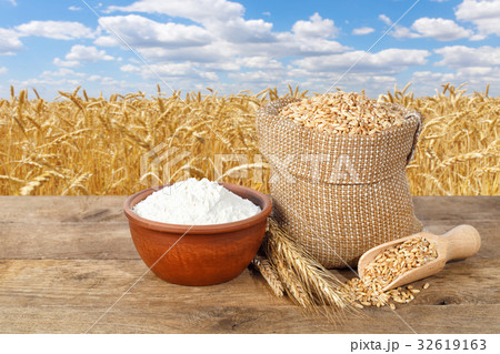 wheat grains and flour on table wheat grains and flour on table 32619163