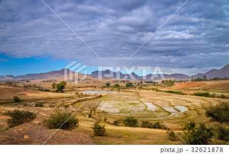 Ricefields of Madagascar 32621878