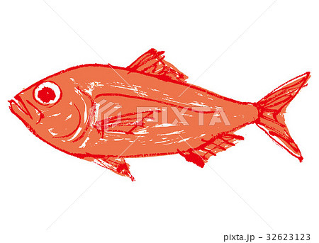 金目鯛　きんめだい　水彩画　水墨画 32623123