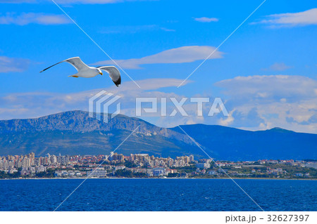 カモメとスプリットの街 32627397