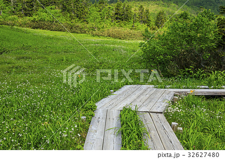 栂池自然園 栂池自然園 32627480