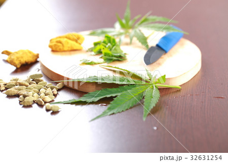 Fresh hemp leaves cannabis Fresh hemp leaves cannabis 32631254
