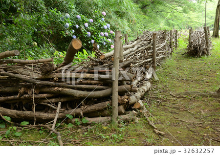 間伐材を再活用した風除け用の垣 32632257