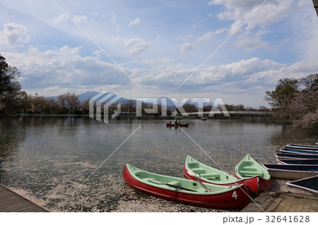臥竜公園葉桜 32641628
