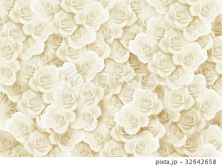背景素材 白い薔薇 ばら のイラスト素材