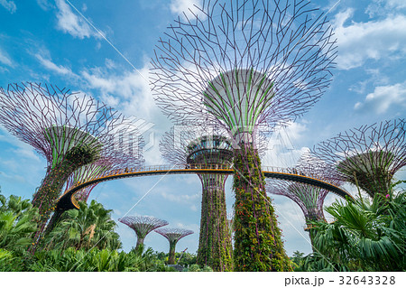 Singapore Supertrees in garden by the bay Singapore Supertrees in garden by the bay 32643328