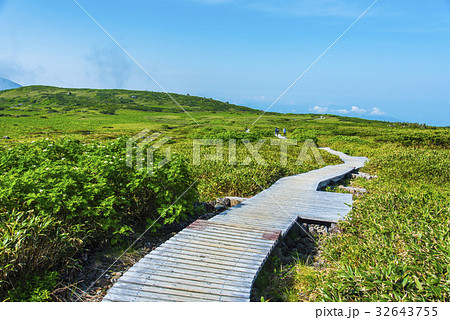 弥陀ヶ原と木道 32643755
