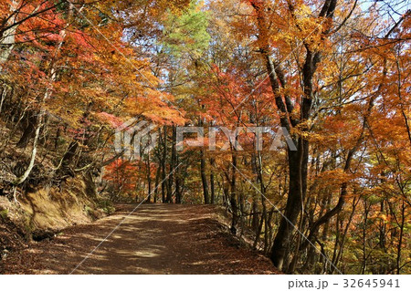 秋の登山道と紅葉 32645941