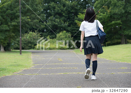 女子高生 通学路 後ろ姿の写真素材