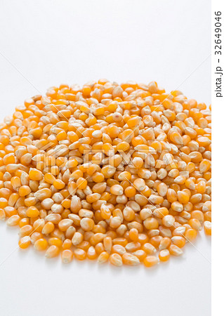 ポップコーン豆 種コーン ポップコーン豆 種コーン 32649046
