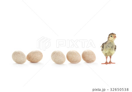 Turkey Turkey 32650538