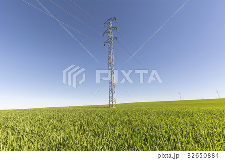 Electric tower in green field Electric tower in green field 32650884