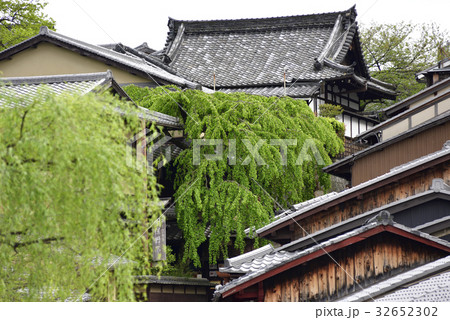 三寧坂 あけぼの亭 早咲きの糸桜 三寧坂 あけぼの亭 早咲きの糸桜 32652302