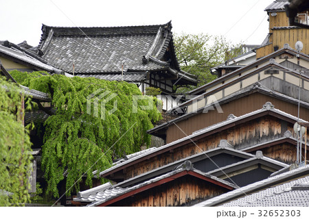 三寧坂　あけぼの亭　早咲きの糸桜 32652303