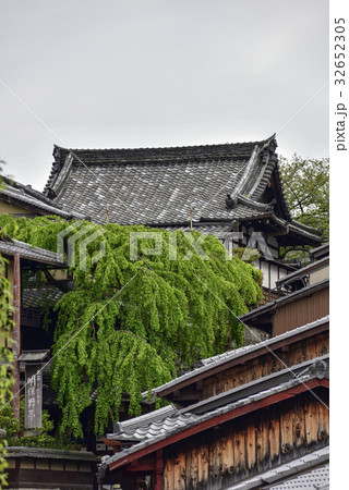 三寧坂　あけぼの亭　早咲きの糸桜 32652305