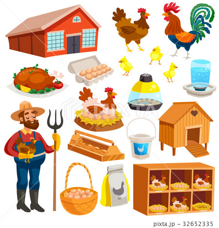 Poultry Farm Elements Set  32652335