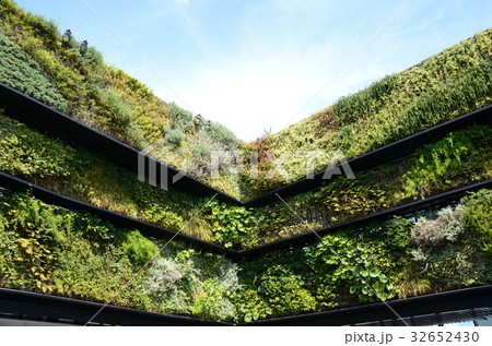 植物による壁面緑化 32652430