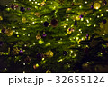 クリスマスツリー 32655124