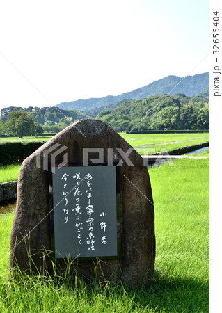 大宰府政庁跡の小野老の歌碑 32655404