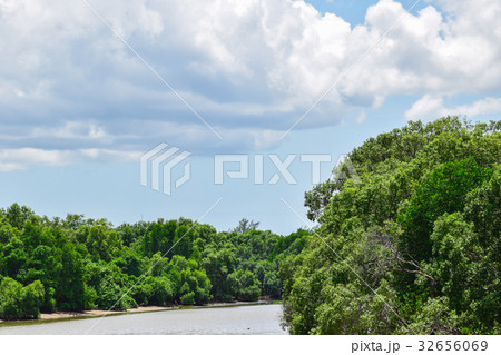 Tree view with blue sky 32656069