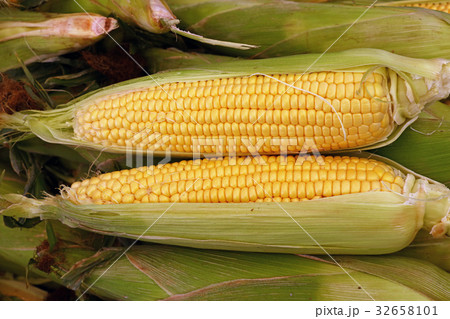 Two peeled fresh corn cobs with green leaves 32658101